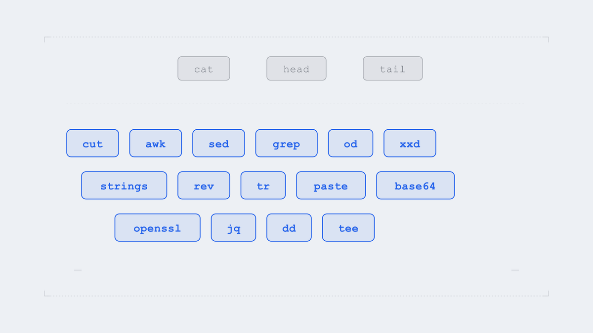 The three tools a denylist named, against the fifteen that can also read a file